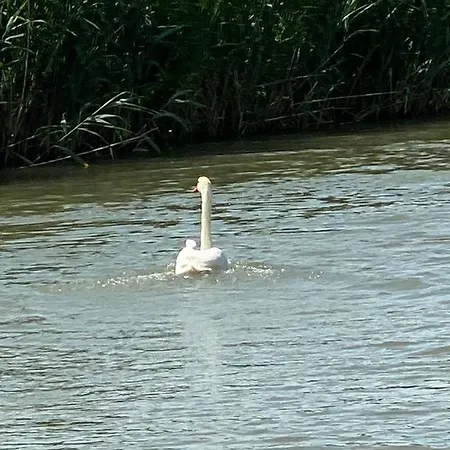Botel Plutitor Egreta 1 Sfântu Gheorghe